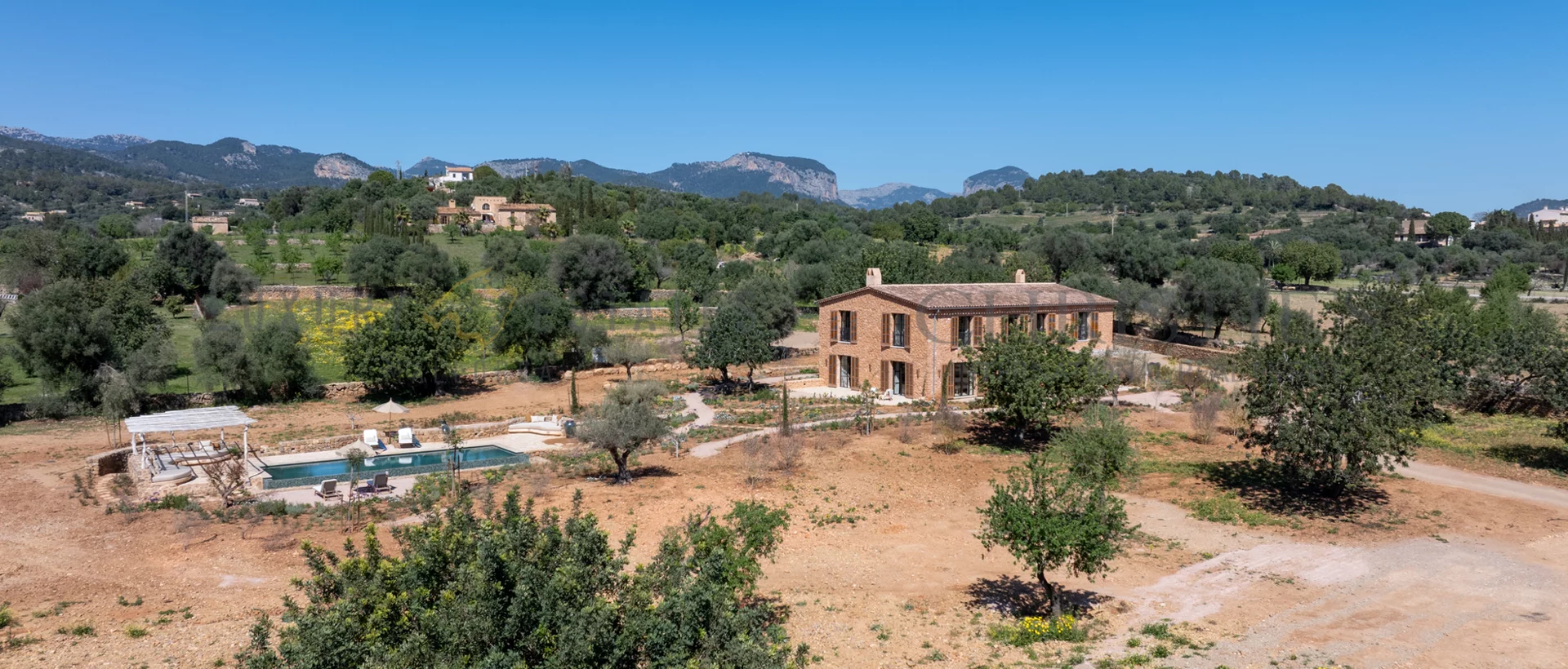 tanca d'olivar drone 10