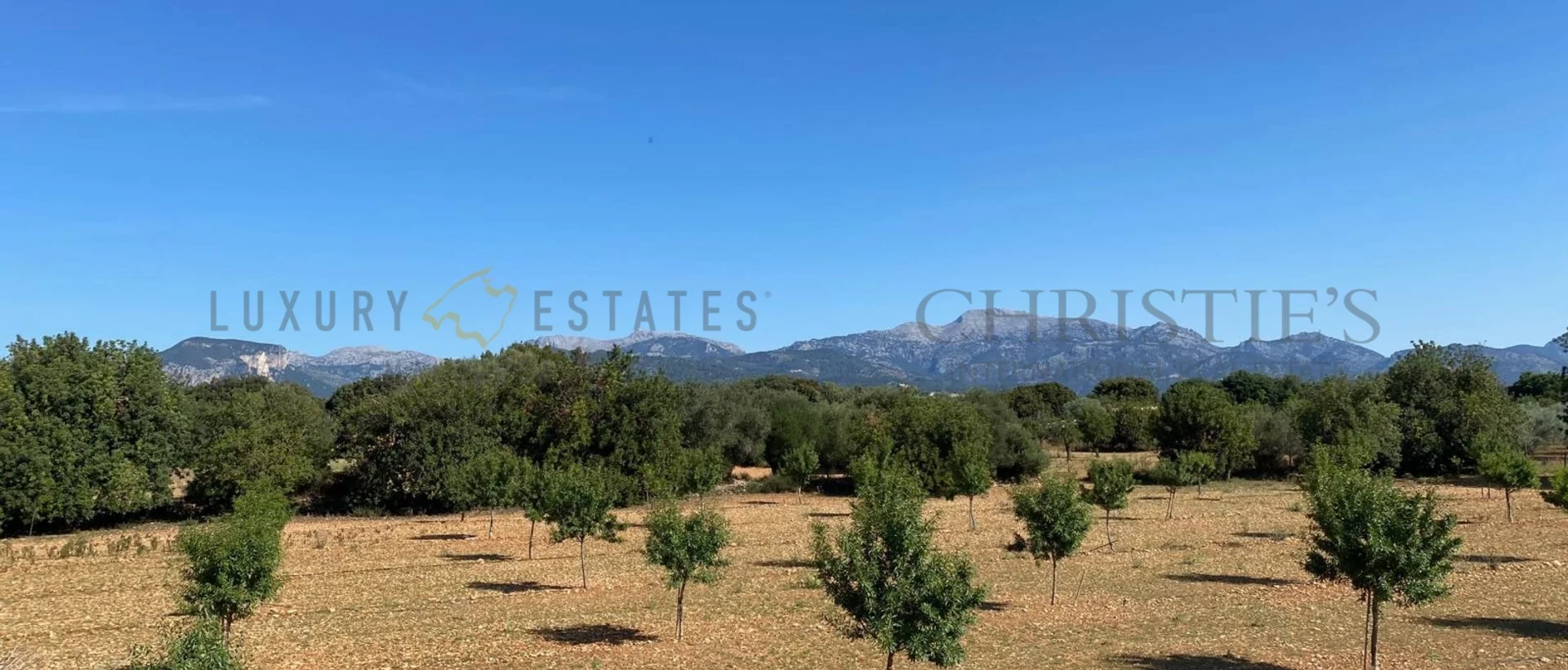 neubau finca binissalem