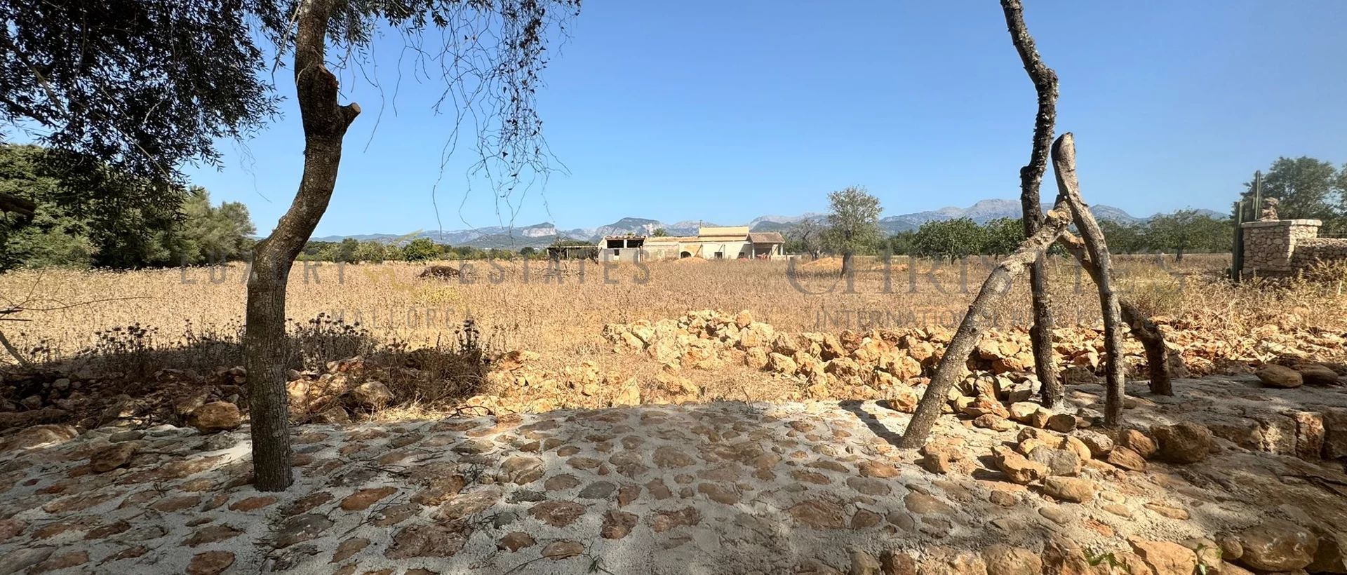 neubau finca binissalem 1