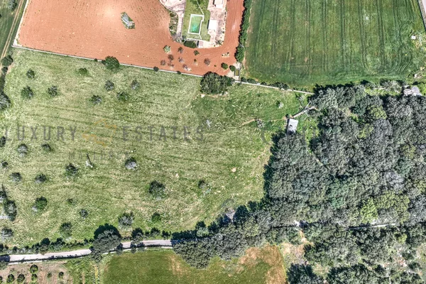 solar con licencia en buger 2