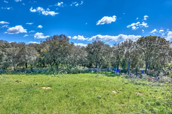 solar con licencia en buger 3