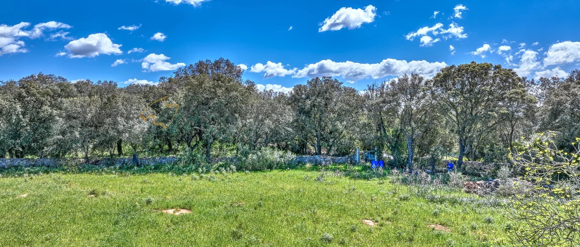 building plot in buger mallorca 3