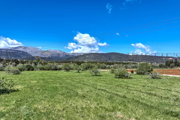 solar con licencia en buger 4