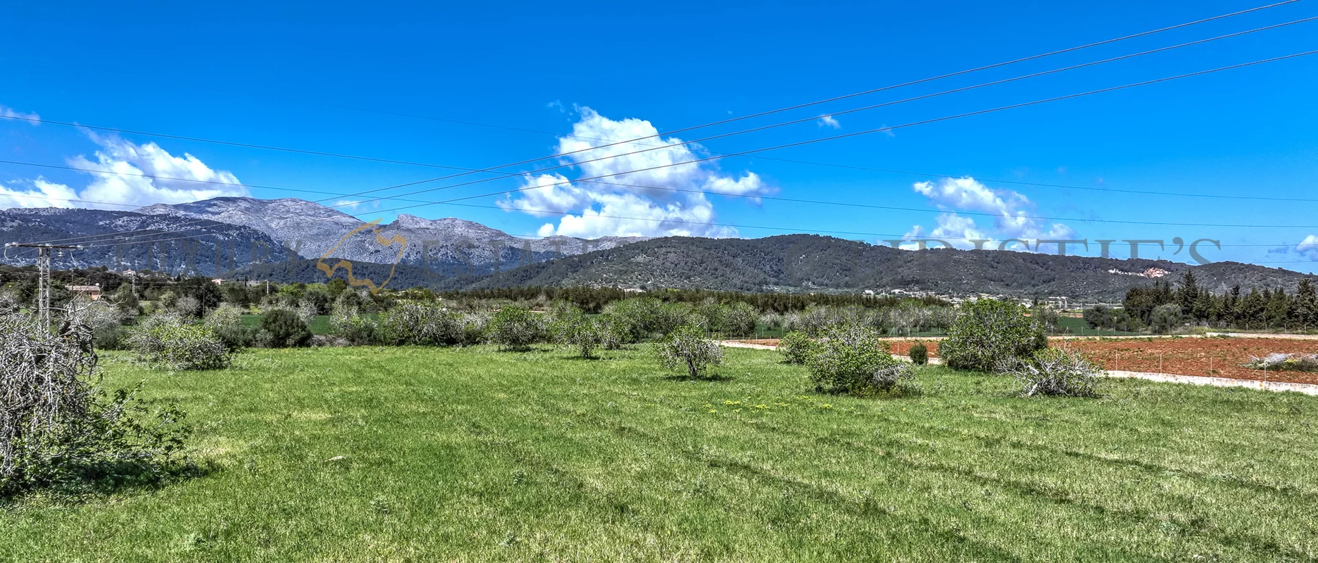 building plot in buger mallorca 4