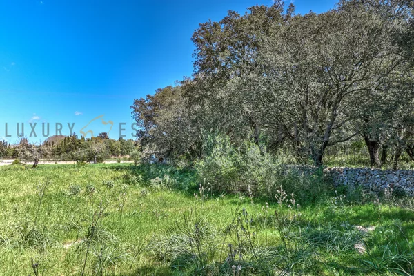 solar con licencia en buger 5