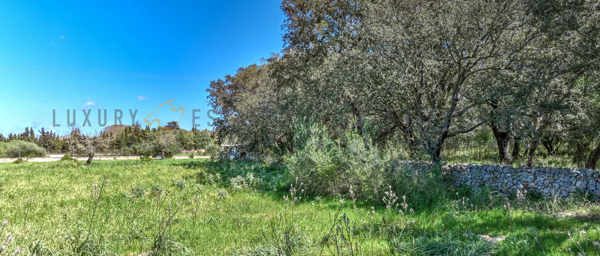 building plot in buger mallorca 5