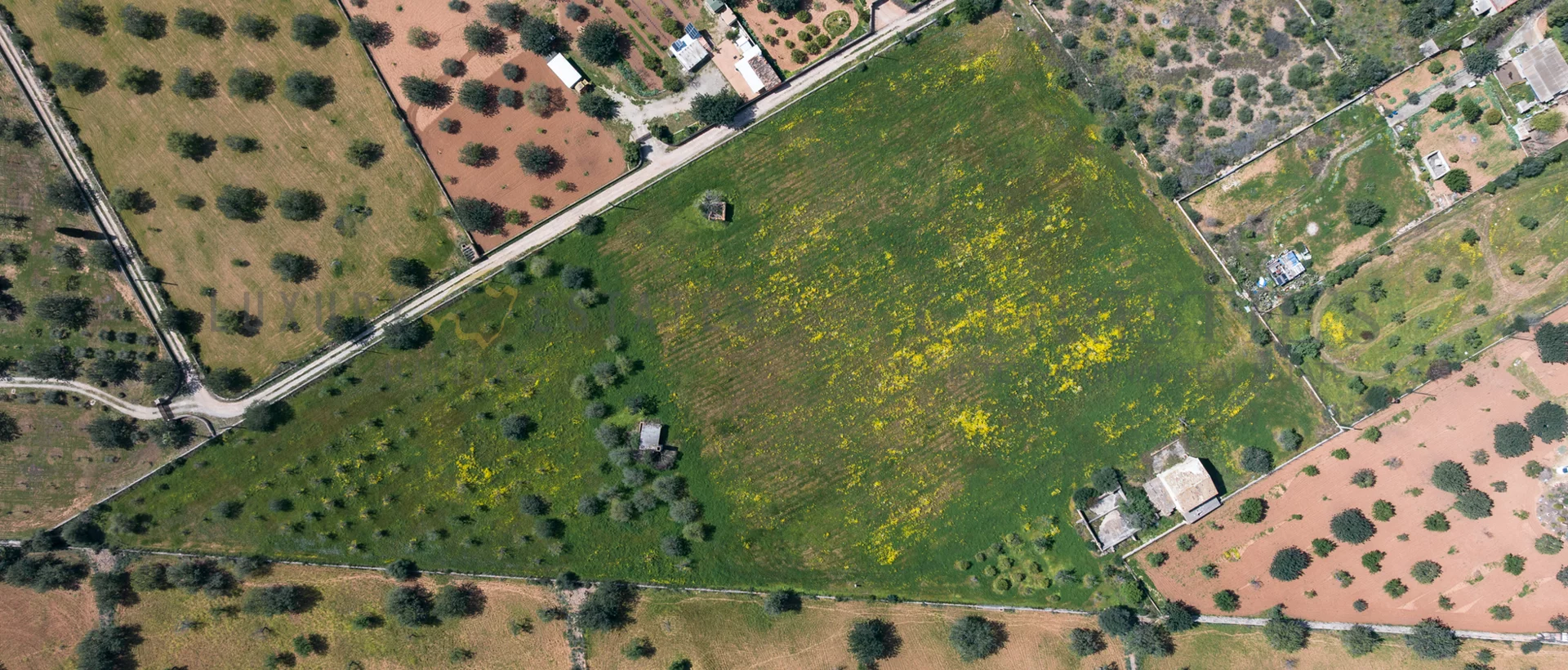 finca bunyola 9 finca bunyola 9