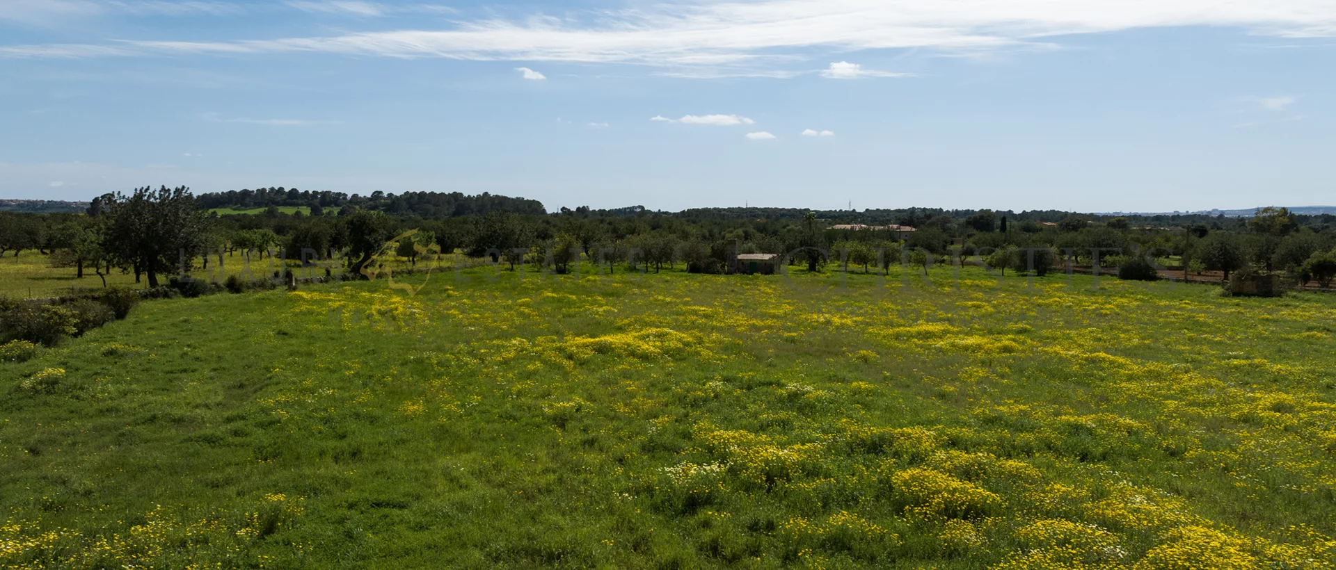 finca bunyola 10 finca bunyola 10