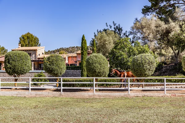 pferde finca calvia südwesten mallorca 13