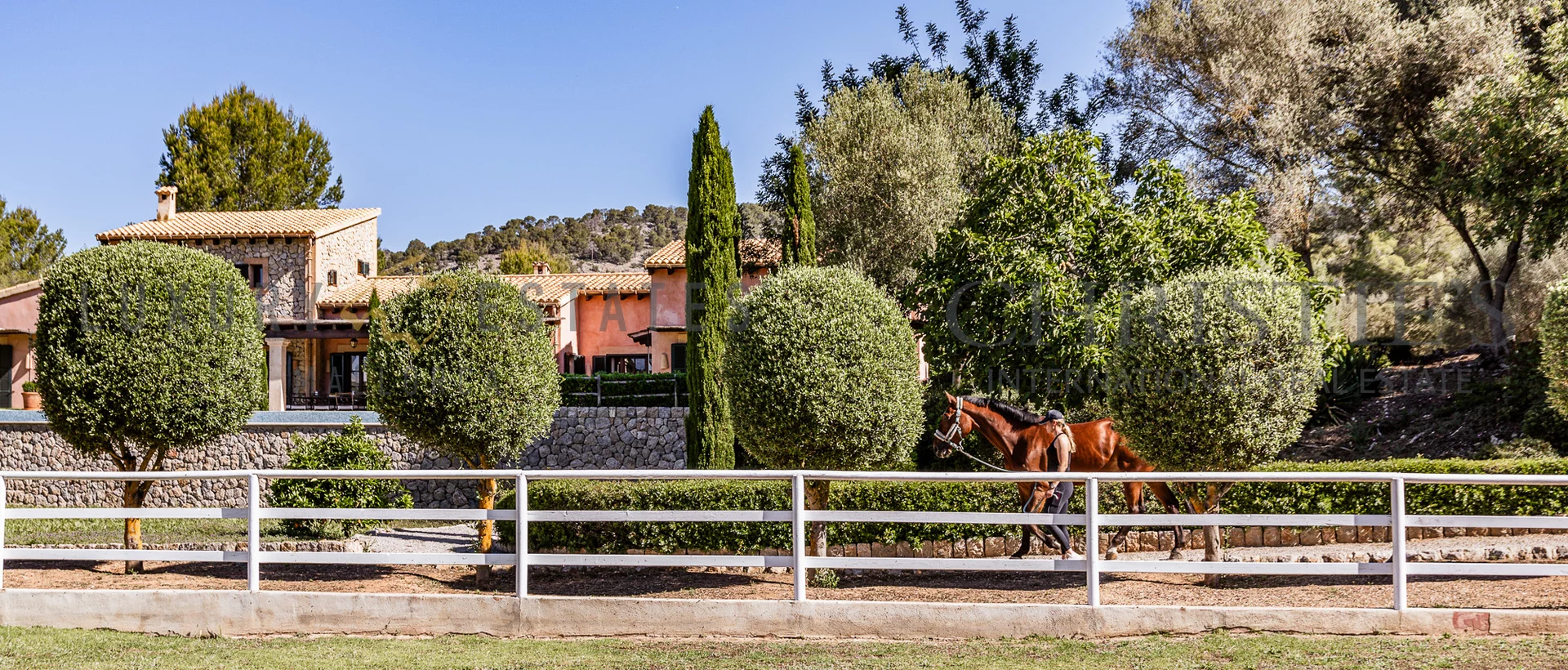 pferde finca calvia südwesten mallorca 13 pferde finca calvia südwesten mallorca 13