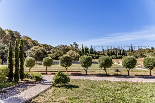 pferde finca calvia südwesten mallorca 14