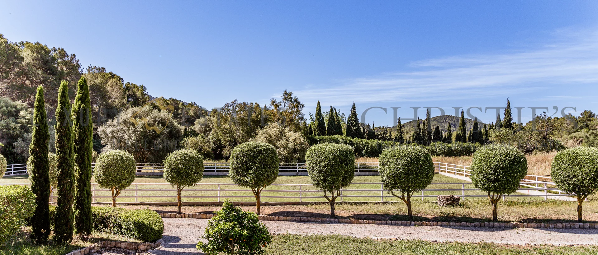 pferde finca calvia südwesten mallorca 14 pferde finca calvia südwesten mallorca 14