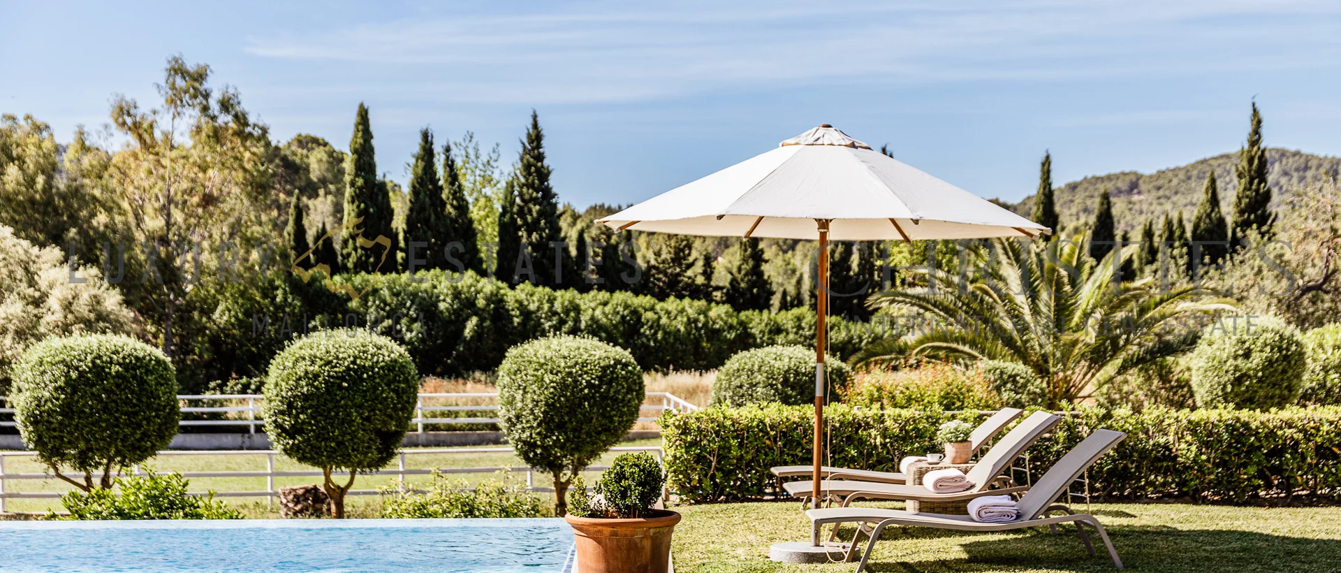 pferde finca calvia südwesten mallorca 17 pferde finca calvia südwesten mallorca 17