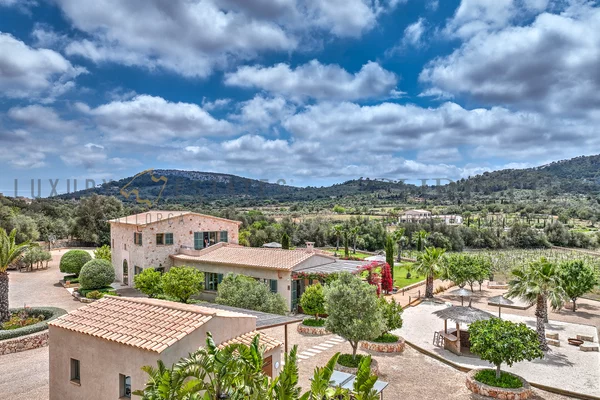 mallorca finca weinberg südosten 2