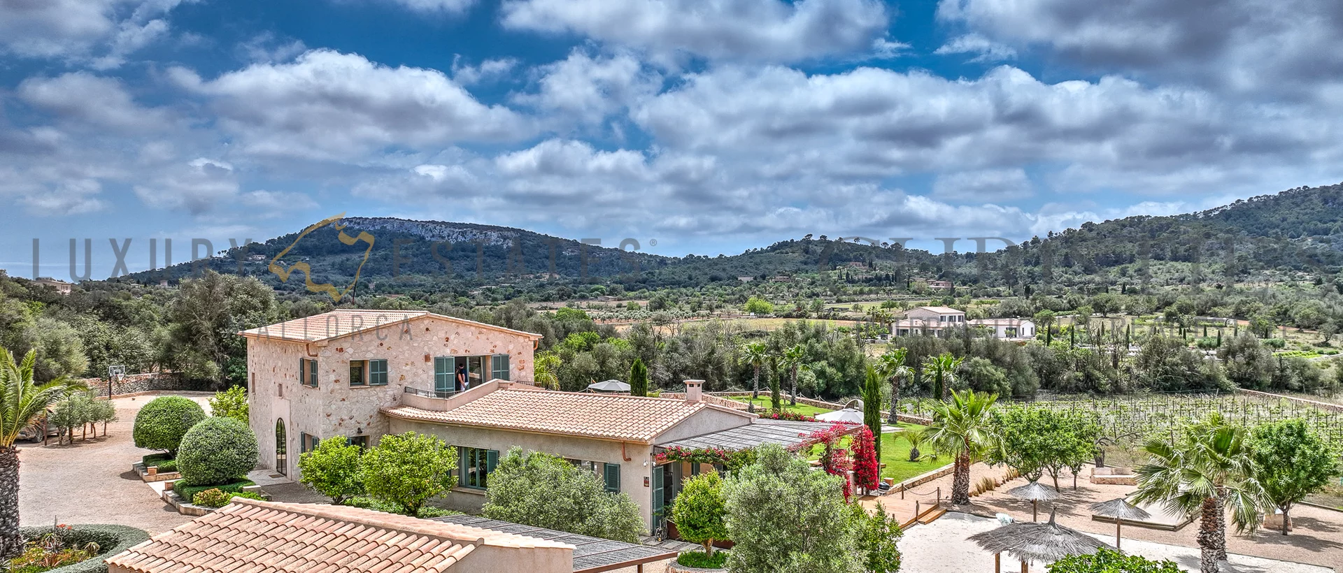 mallorca finca weinberg südosten 2