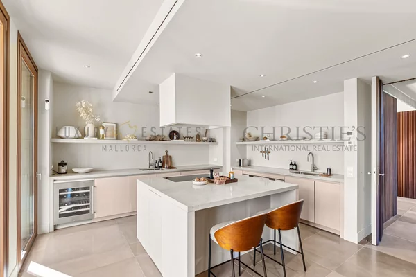 finca es carritxo 26