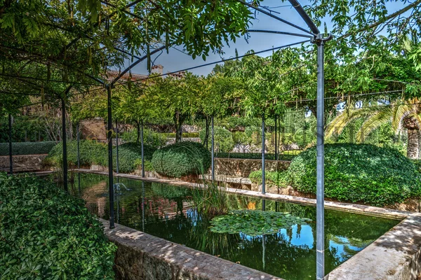 weingut mallorca finca 24