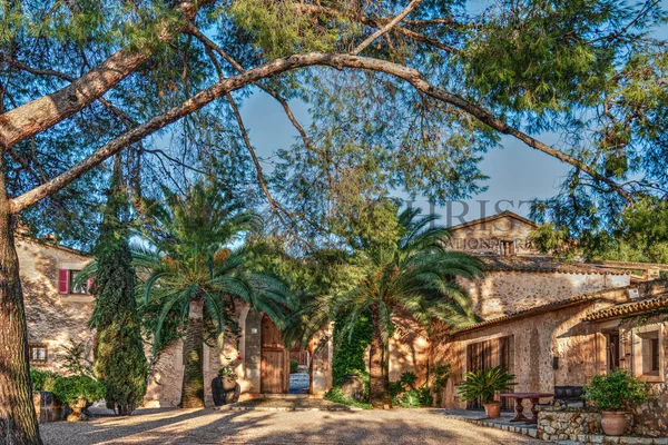 weingut mallorca finca 4