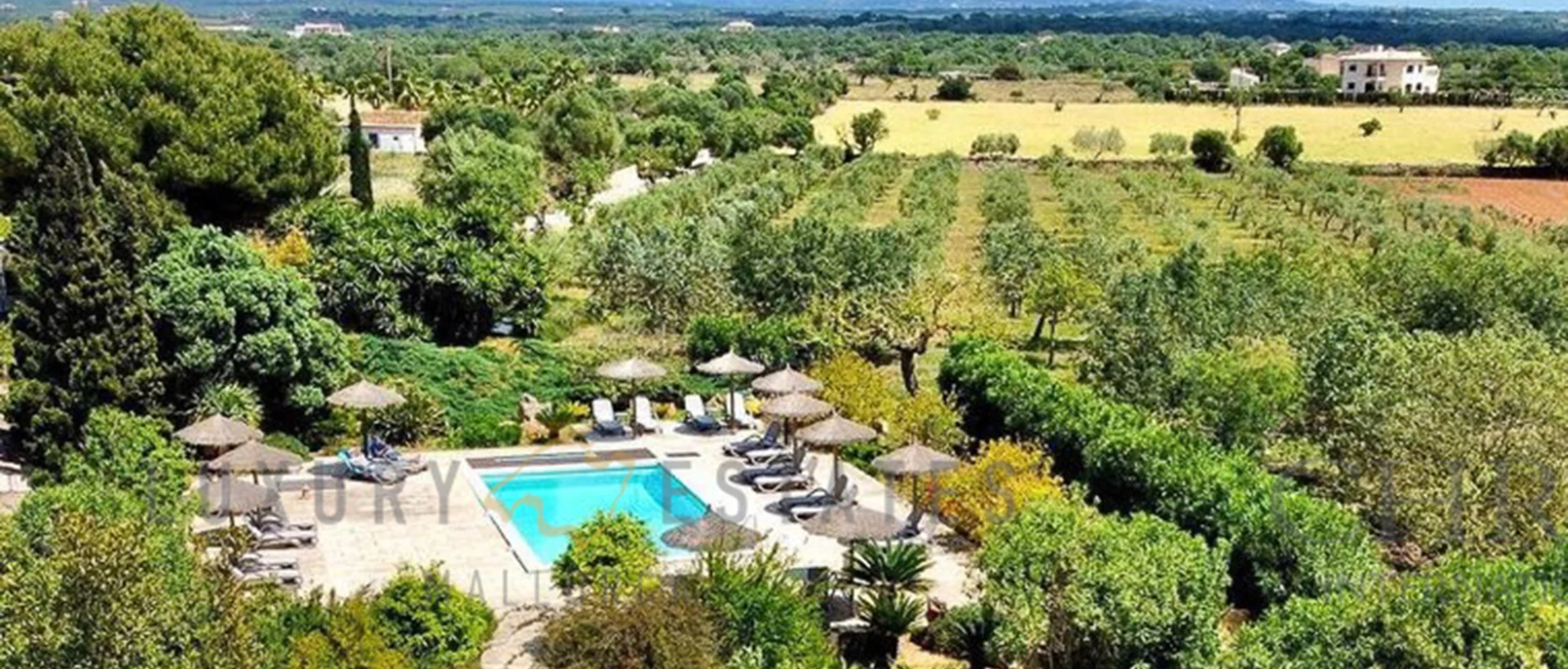 poolbereich finca hotel poolbereich finca hotel