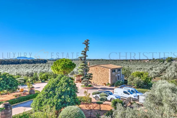 oliven finca mallorca 103