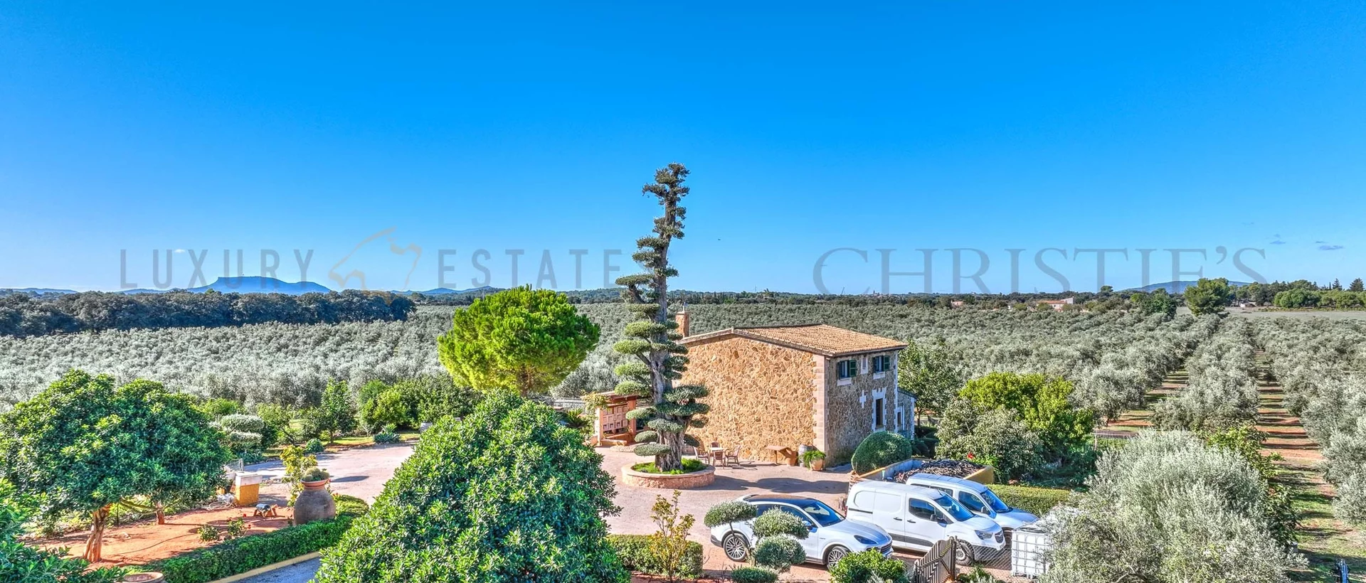 oliven finca mallorca 103 oliven finca mallorca 103