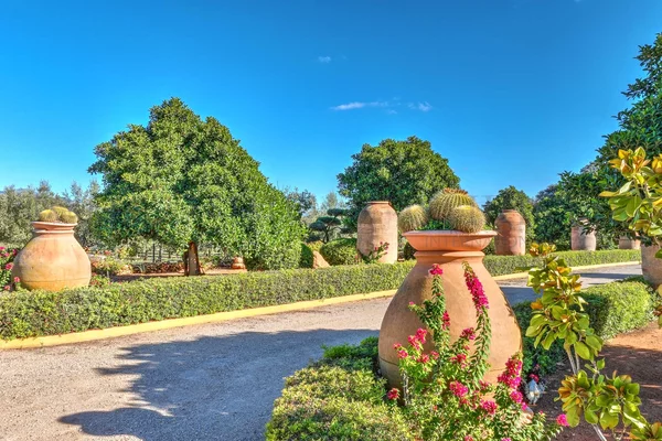 oliven finca mallorca 109