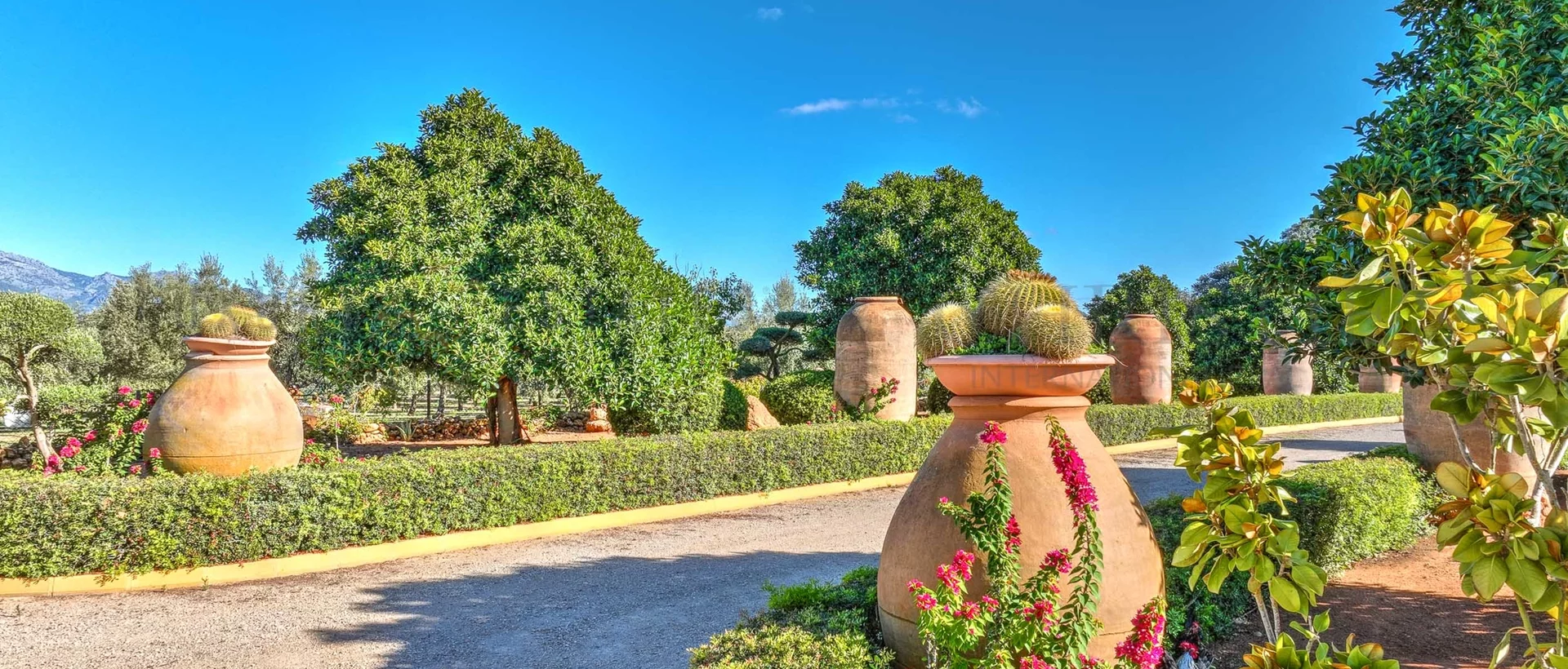 oliven finca mallorca 109 oliven finca mallorca 109