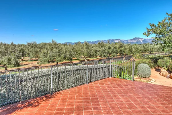 oliven finca mallorca 107