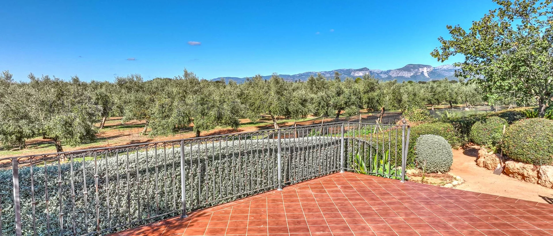 oliven finca mallorca 107 oliven finca mallorca 107