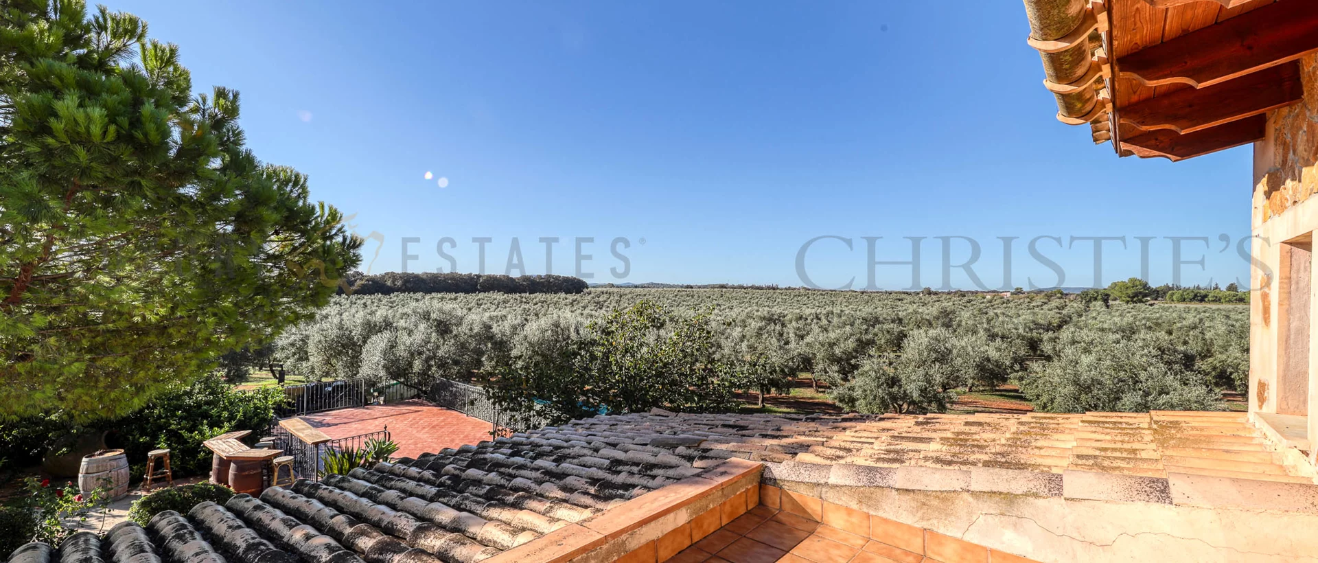 oliven finca mallorca 13 oliven finca mallorca 13