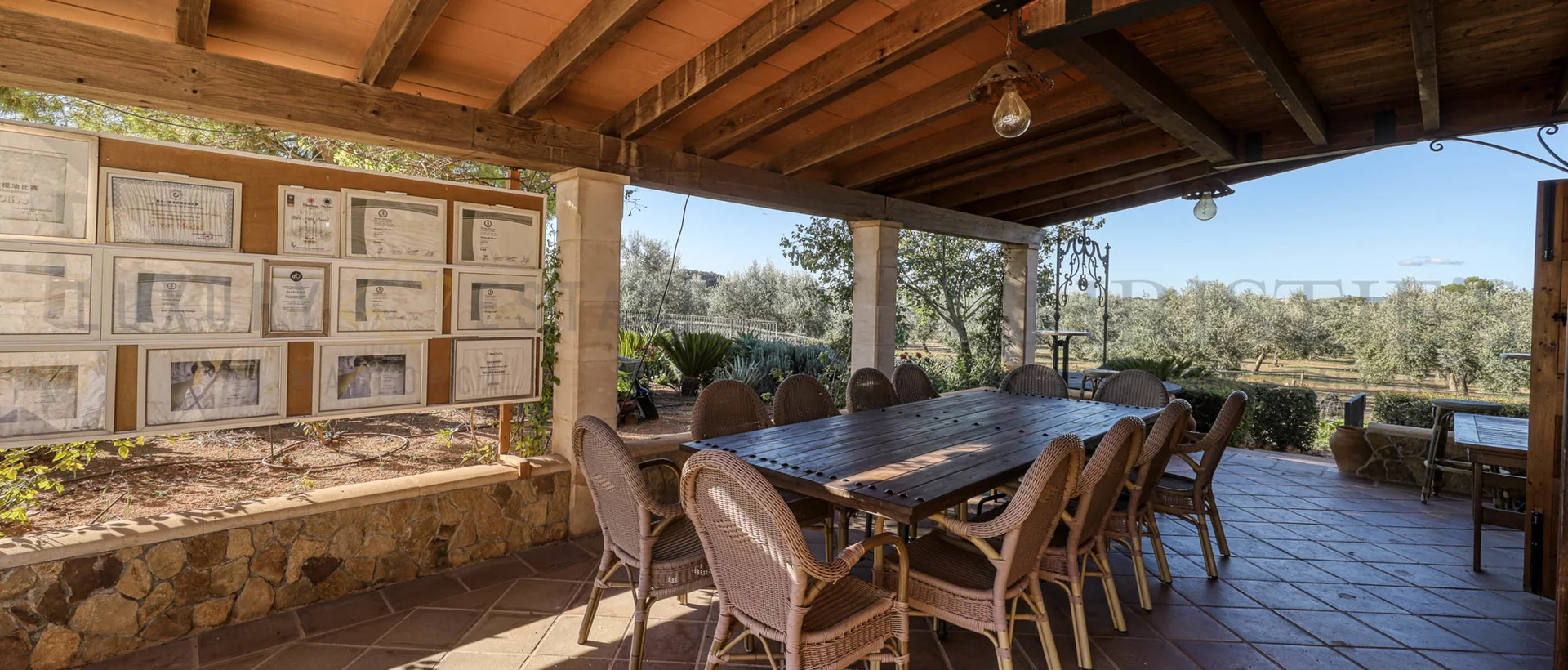 oliven finca mallorca 16 oliven finca mallorca 16