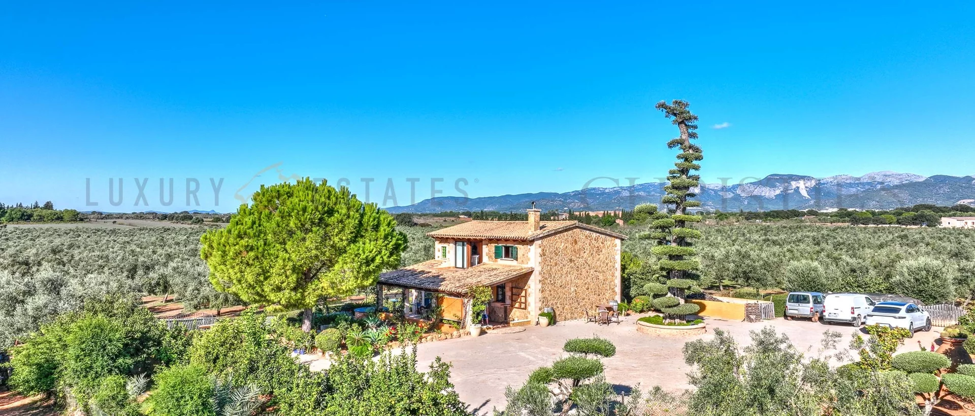 oliven finca mallorca 101 oliven finca mallorca 101