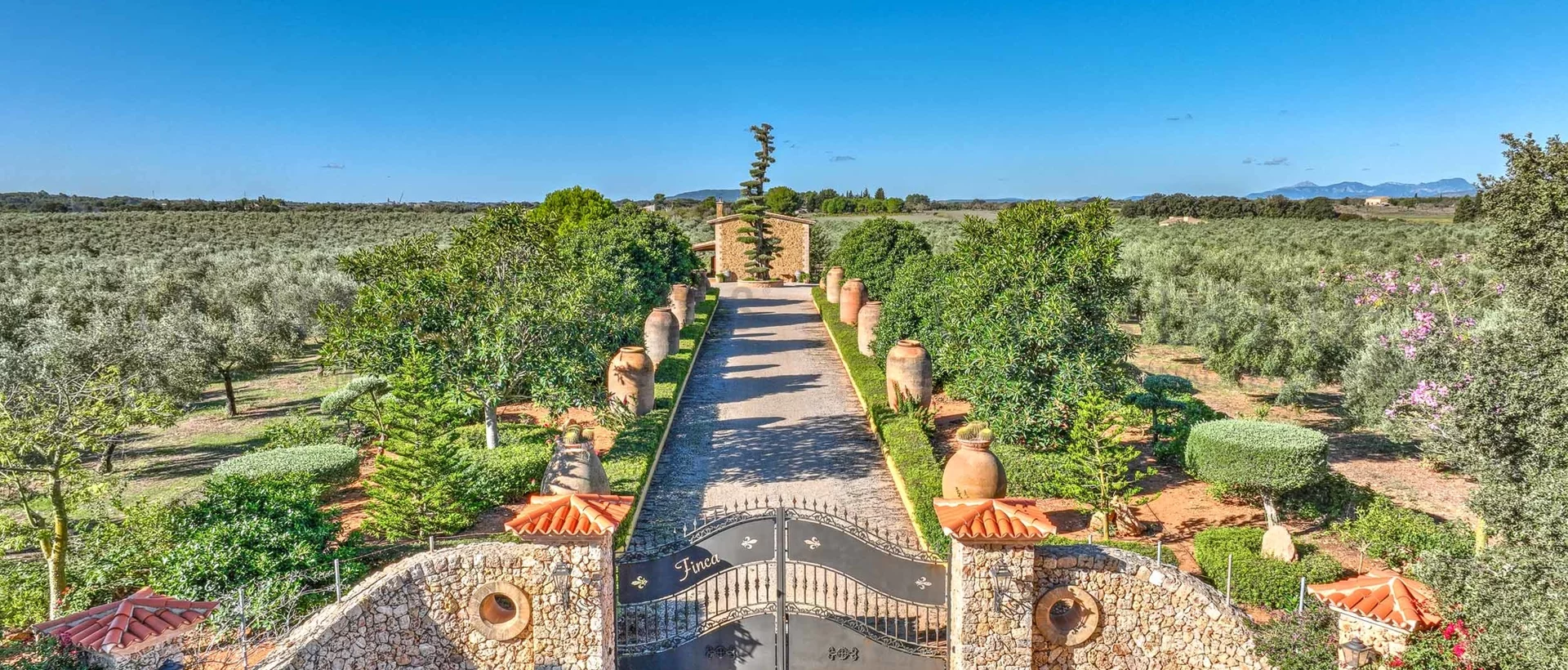 oliven finca mallorca 105 oliven finca mallorca 105