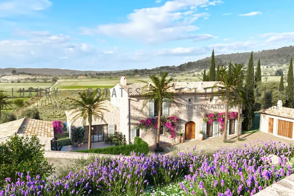 finca con viñedo mallorca 1