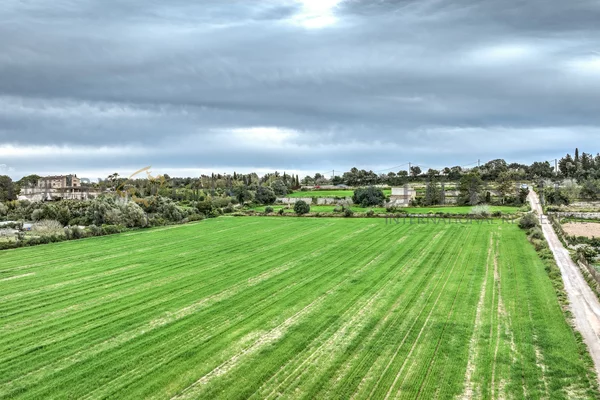 solar con licencia en montuiri 5