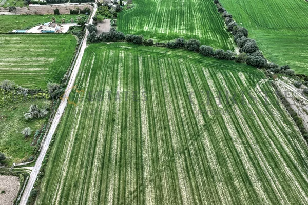 solar con licencia en montuiri 6