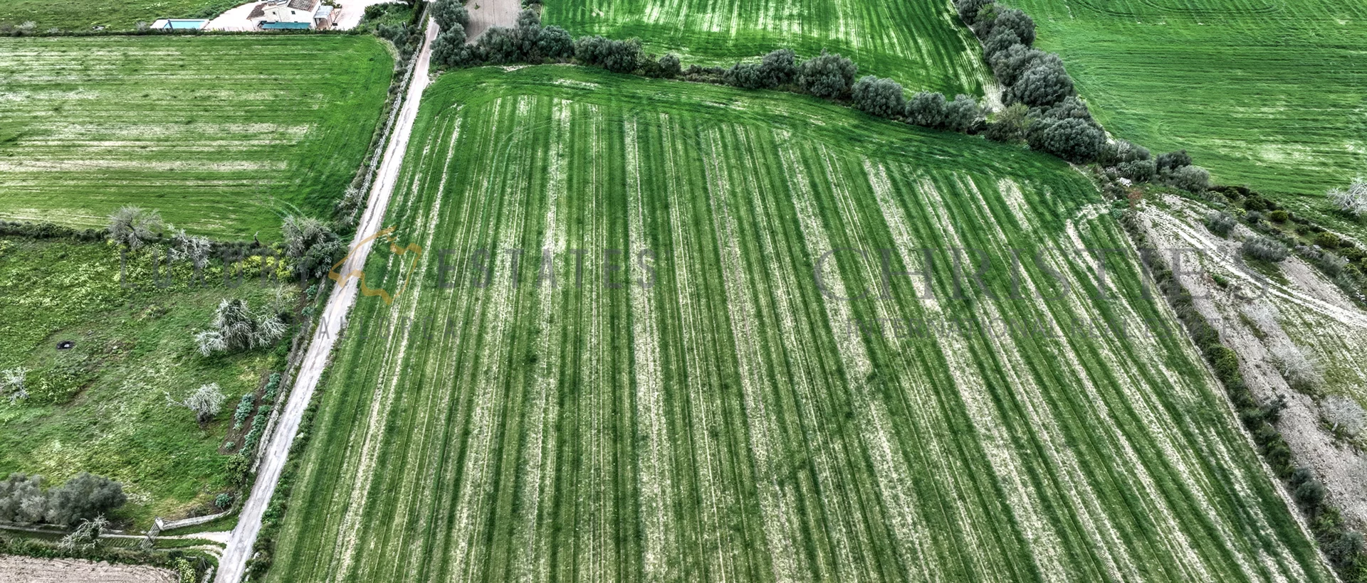 grundstück mit baugenehmigung im zentrum von mallorca 6