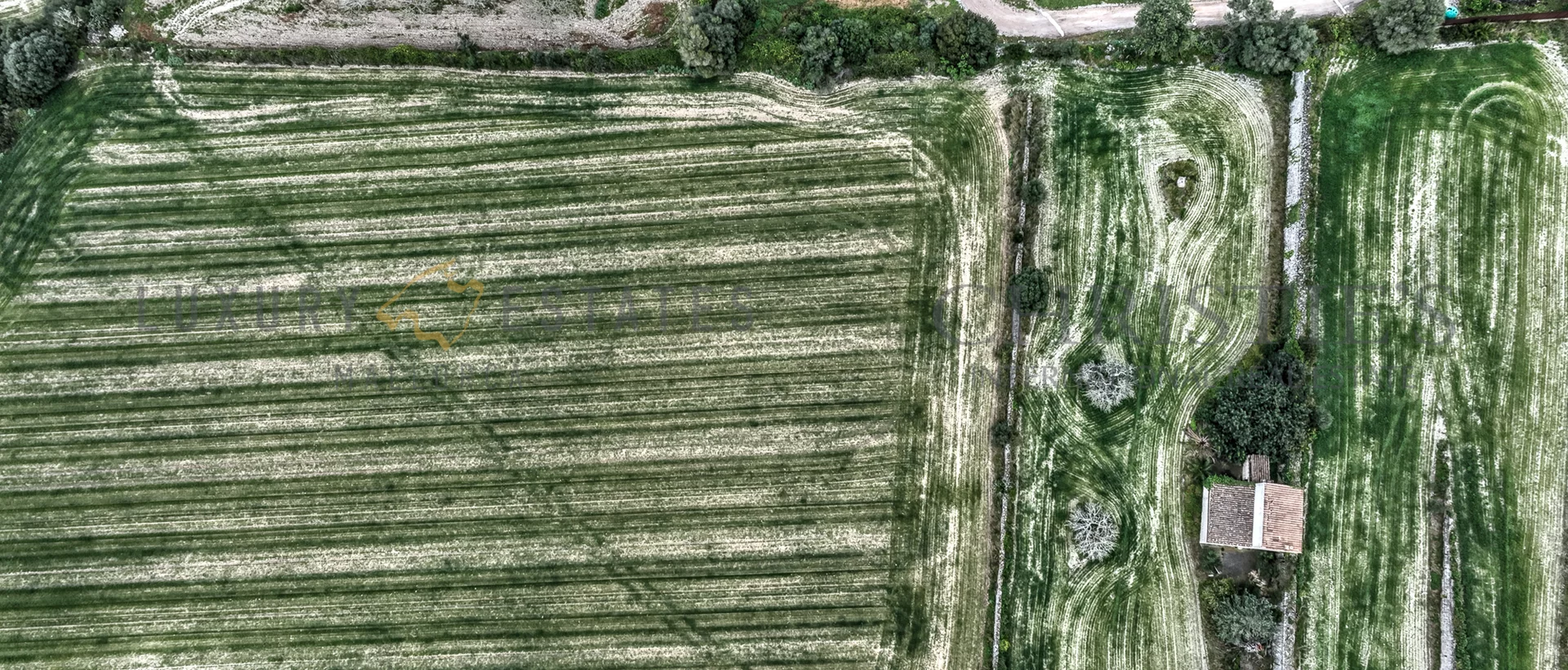 grundstück mit baugenehmigung im zentrum von mallorca 7
