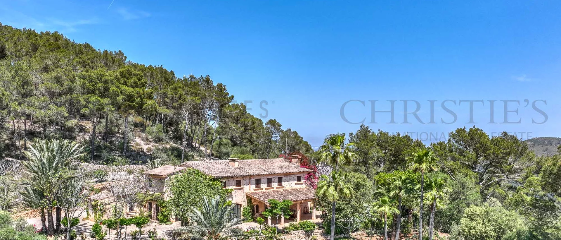 finca son macia meerblick 11