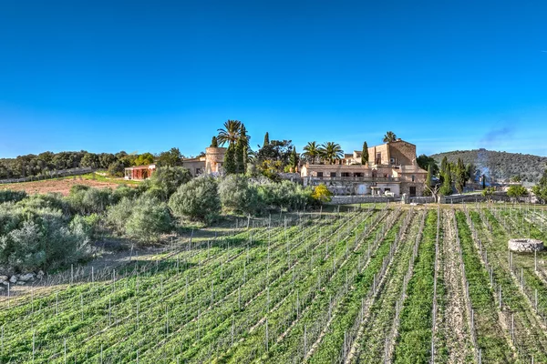 weingut mallorca nordosten 1