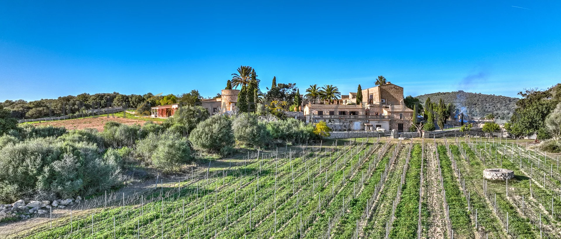 weingut mallorca nordosten 1