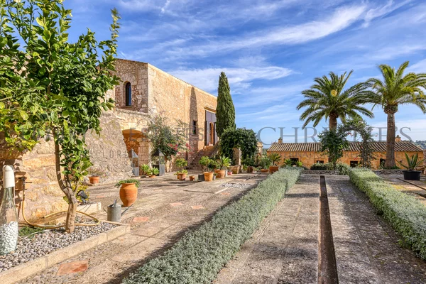 weingut mallorca nordosten 103