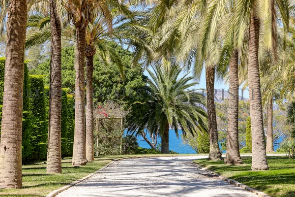 mediterrane villa meerzugang mallorca 1