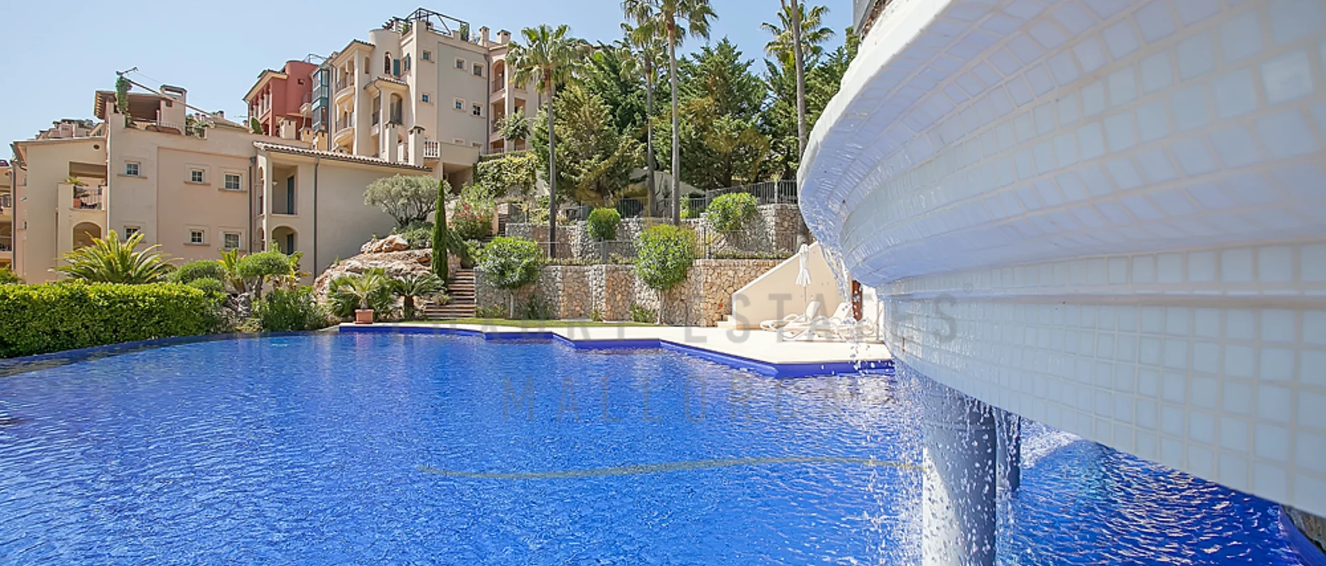 foto_353773 foto_353773