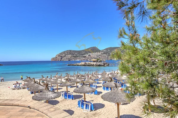 camp de mar 11 camp de mar 11