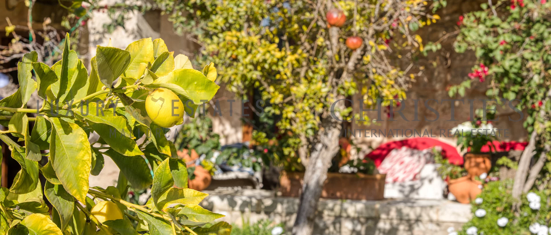 historische mallorca finca s'arraco andratx 20 historische mallorca finca s'arraco andratx 20