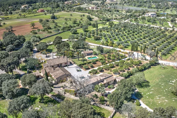wein finca mallorca weingut 10