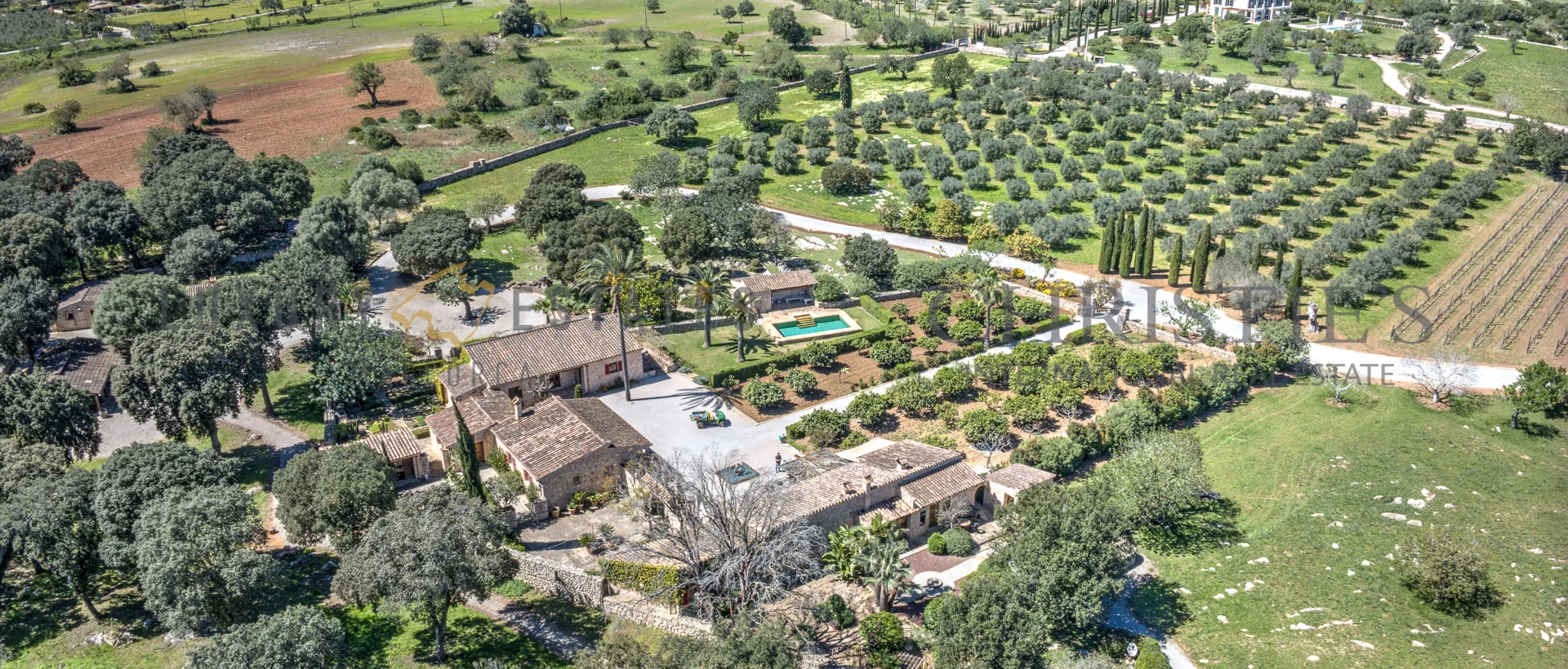 wein finca mallorca weingut 10 wein finca mallorca weingut 10
