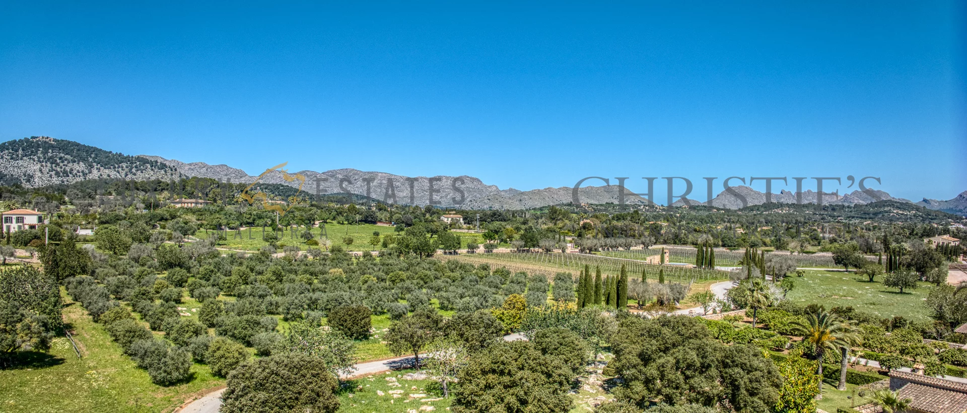 wein finca mallorca weingut 5 wein finca mallorca weingut 5