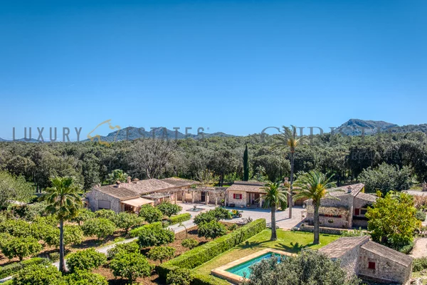 wein finca mallorca weingut 1